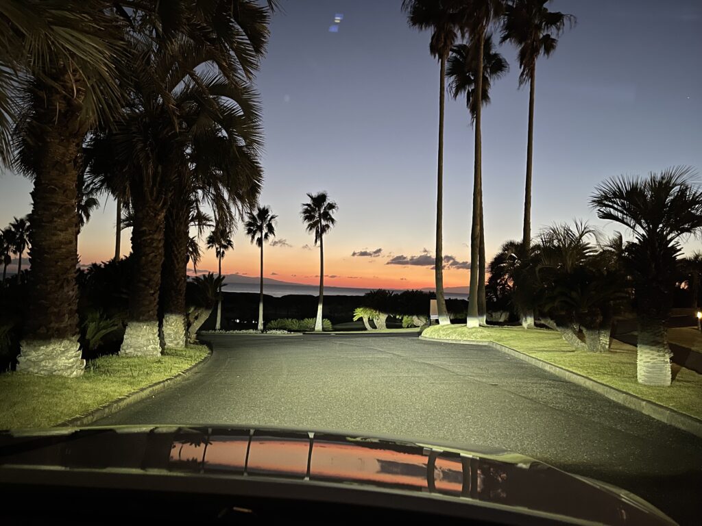 館山カントリークラブ入口付近から見える夕暮れの海とヤシの木